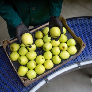 Corso per titolari di imprese alimentari, ai responsabili dei piani di autocontrollo e agli addetti alla produzione e preparazione di alimenti – Regione Liguria