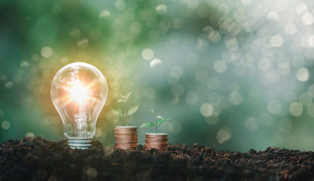 Il meccanismo unionale di finanziamento dell’energia rinnovabile