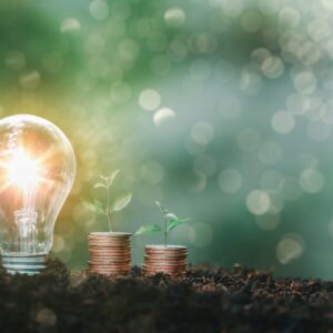 Il meccanismo unionale di finanziamento dell’energia rinnovabile