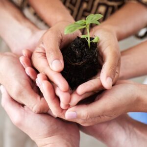 Indicatori per una green economy inclusiva