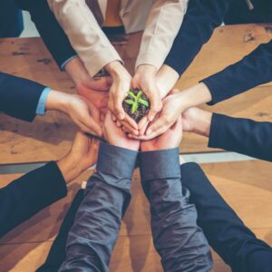 Introduzione agli standard per la sostenibilità in azienda