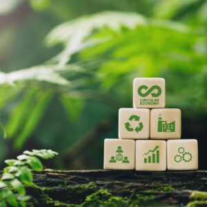 Introduzione alla Circular economy