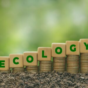 Introduzione alla finanza sostenibile