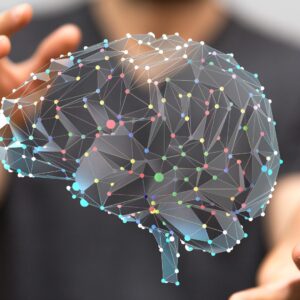 La scienza del cervello: memoria e apprendimento