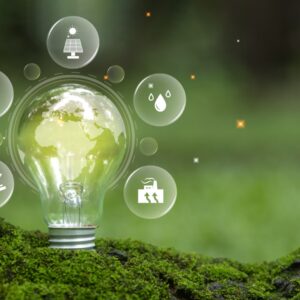 La transizione Green: politiche programmi e strumenti