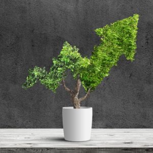 Produzione additiva tra economia circolare e sostenibilità